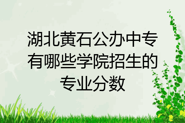 湖北黄石公办中专有哪些学院招生的专业分数