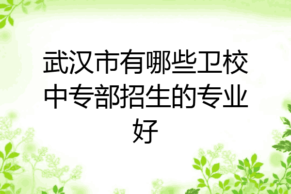 武汉市有哪些卫校中专部招生的专业好