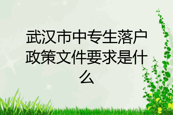 武汉市中专生落户政策文件要求是什么