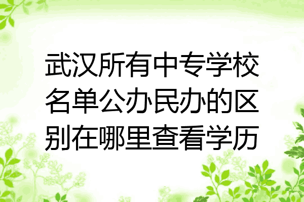 武汉所有中专学校名单公办民办的区别在哪里查看学历