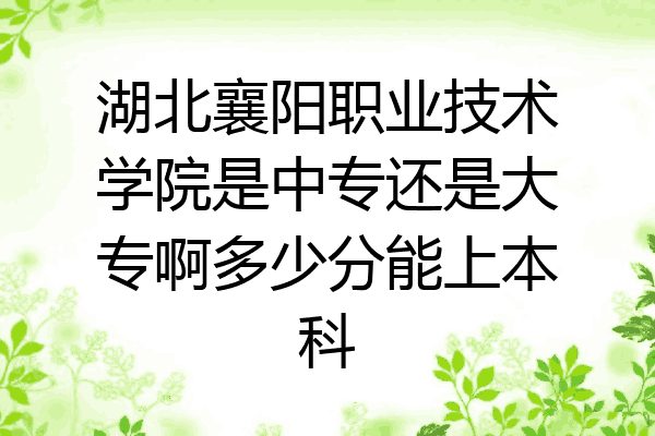 湖北襄阳职业技术学院是中专还是大专啊多少分能上本科