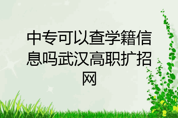 中专可以查学籍信息吗武汉高职扩招网