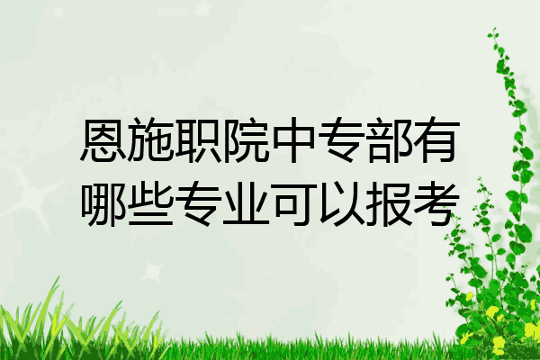 恩施职院中专部有哪些专业可以报考