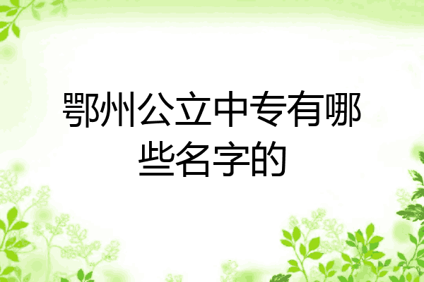 鄂州公立中专有哪些名字的