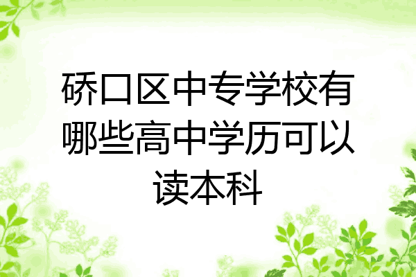 硚口区中专学校有哪些高中学历可以读本科