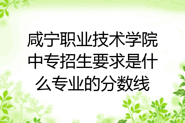 咸宁职业技术学院中专招生要求是什么专业的分数线