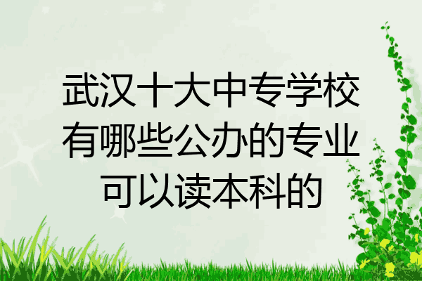 武汉十大中专学校有哪些公办的专业可以读本科的