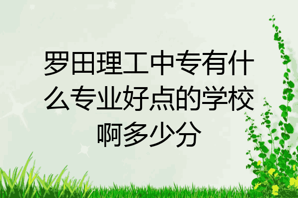 罗田理工中专有什么专业好点的学校啊多少分