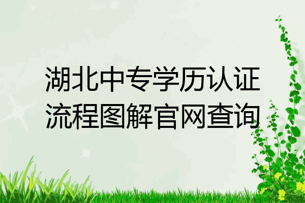 湖北中专学历认证流程图解官网查询