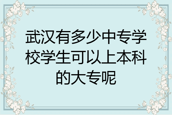 武汉有多少中专学校学生可以上本科的大专呢