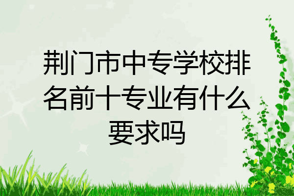 荆门市中专学校排名前十专业有什么要求吗