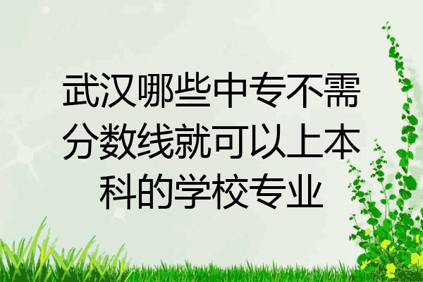 武汉哪些中专不需分数线就可以上本科的学校专业