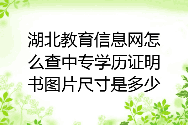 湖北教育信息网怎么查中专学历证明书图片尺寸是多少