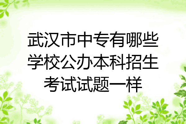 武汉市中专有哪些学校公办本科招生考试试题一样