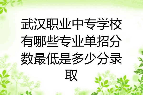 武汉职业中专学校有哪些专业单招分数最低是多少分录取