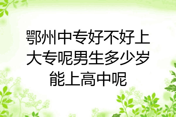 鄂州中专好不好上大专呢男生多少岁能上高中呢