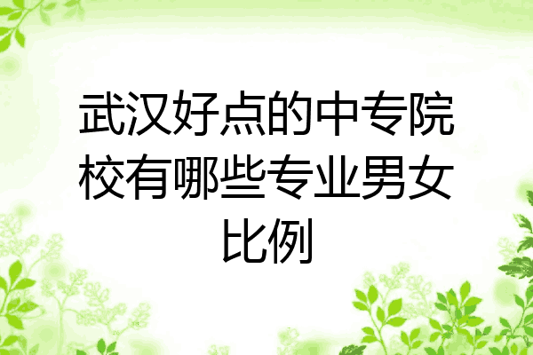 武汉好点的中专院校有哪些专业男女比例