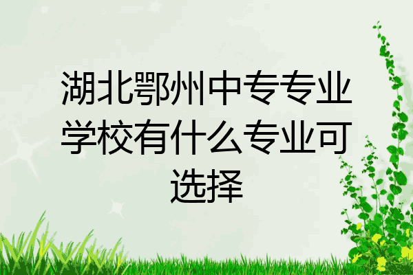 湖北鄂州中专专业学校有什么专业可选择