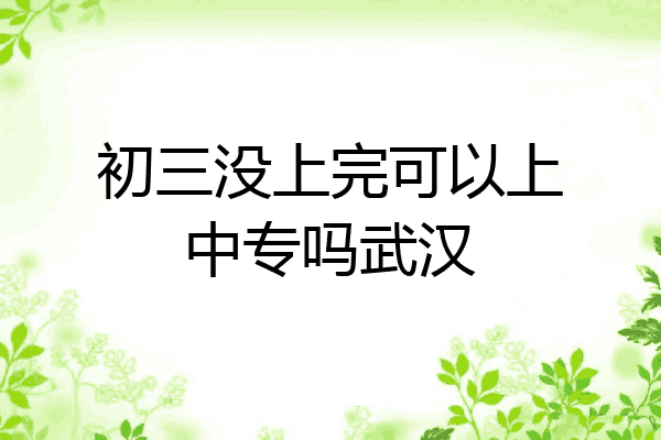 初三没上完可以上中专吗武汉
