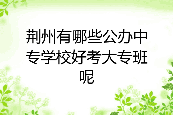 荆州有哪些公办中专学校好考大专班呢