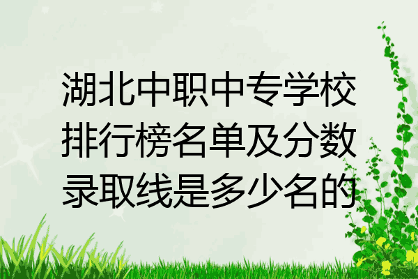 湖北中职中专学校排行榜名单及分数录取线是多少名的