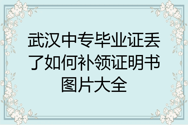 武汉中专毕业证丢了如何补领证明书图片大全