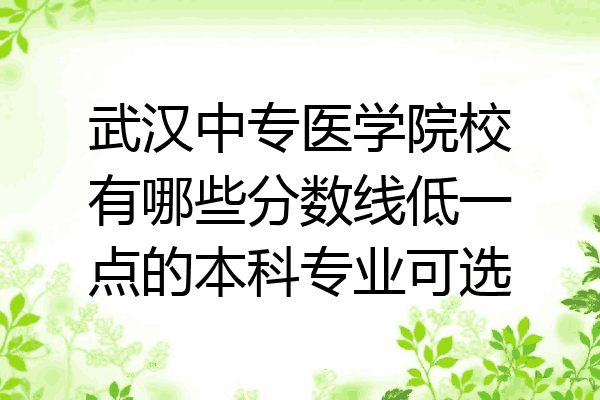 武汉中专医学院校有哪些分数线低一点的本科专业可选