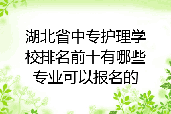 湖北省中专护理学校排名前十有哪些专业可以报名的