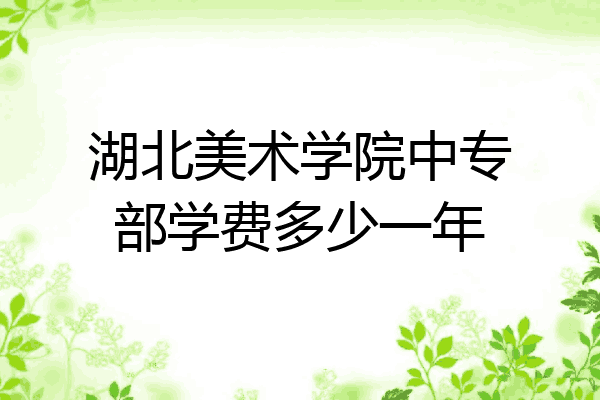 湖北美术学院中专部学费多少一年