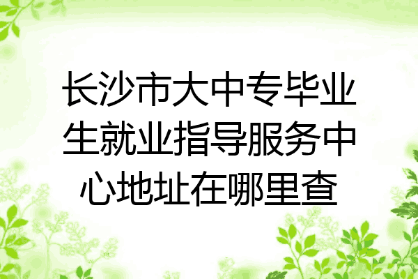 长沙市大中专毕业生就业指导服务中心地址在哪里查