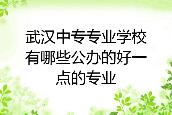 武汉中专专业学校有哪些公办的好一点的专业