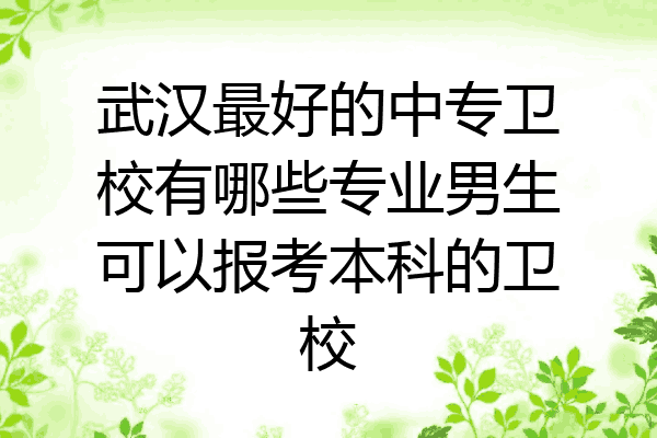 武汉最好的中专卫校有哪些专业男生可以报考本科的卫校