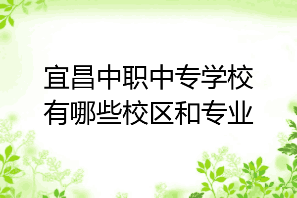 宜昌中职中专学校有哪些校区和专业