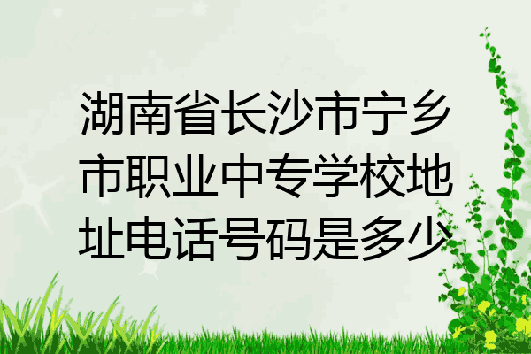 湖南省长沙市宁乡市职业中专学校地址电话号码是多少