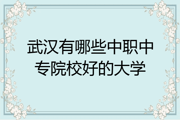 武汉有哪些中职中专院校好的大学