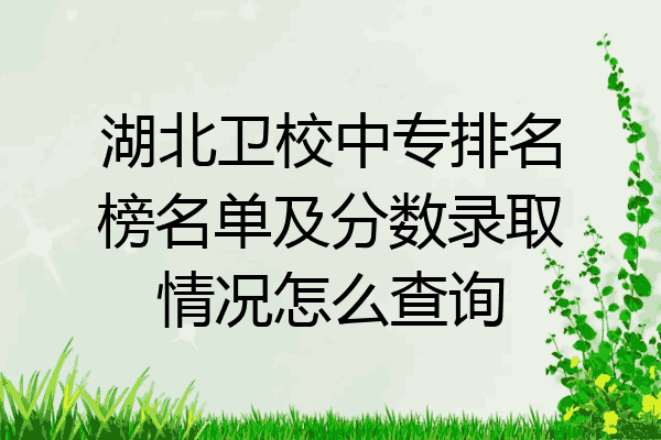 湖北卫校中专排名榜名单及分数录取情况怎么查询