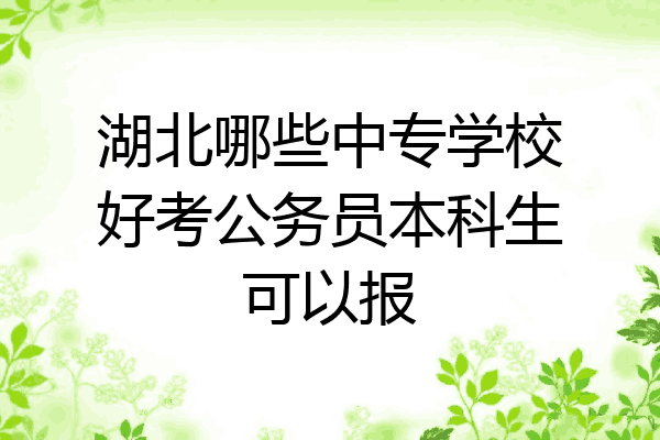湖北哪些中专学校好考公务员本科生可以报