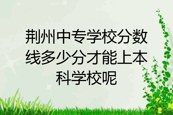 荆州中专学校分数线多少分才能上本科学校呢