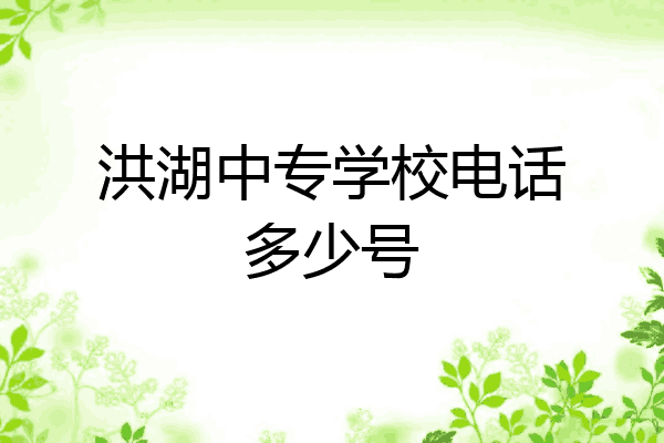 洪湖中专学校电话多少号