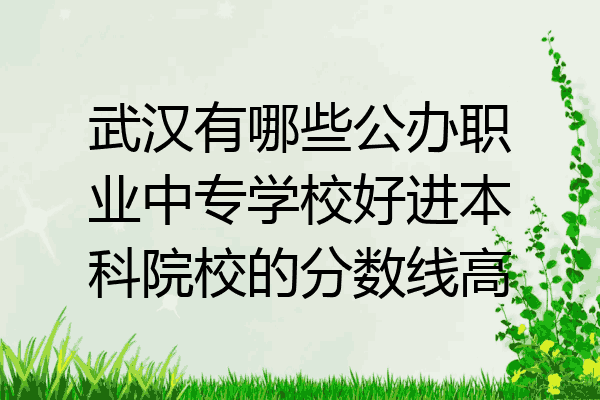 武汉有哪些公办职业中专学校好进本科院校的分数线高