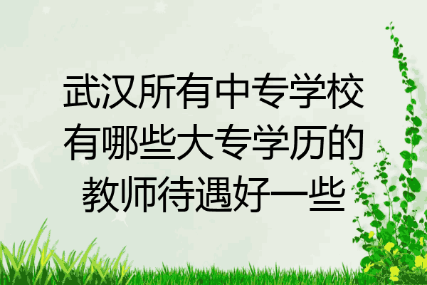 武汉所有中专学校有哪些大专学历的教师待遇好一些