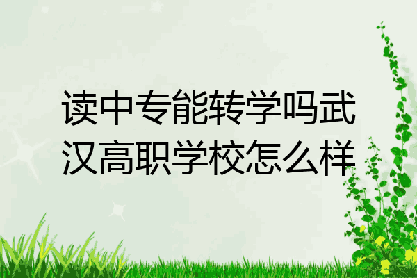 读中专能转学吗武汉高职学校怎么样