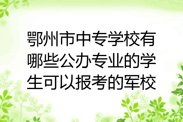 鄂州市中专学校有哪些公办专业的学生可以报考的军校