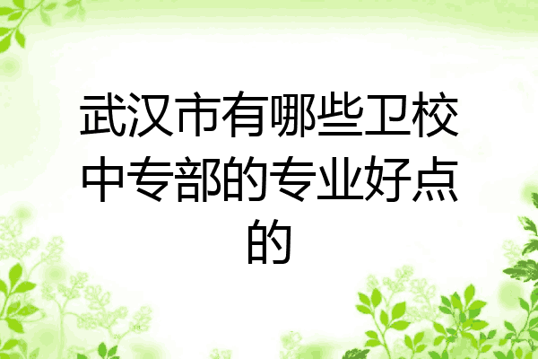 武汉市有哪些卫校中专部的专业好点的