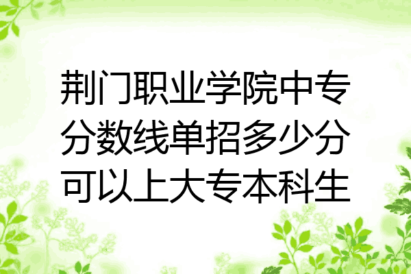 荆门职业学院中专分数线单招多少分可以上大专本科生