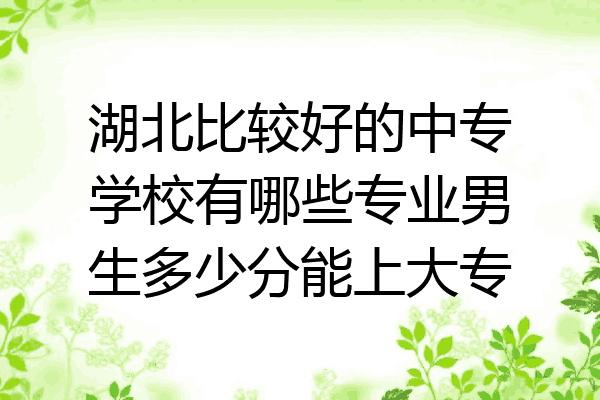 湖北比较好的中专学校有哪些专业男生多少分能上大专