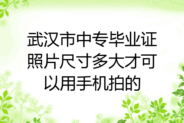 武汉市中专毕业证照片尺寸多大才可以用手机拍的