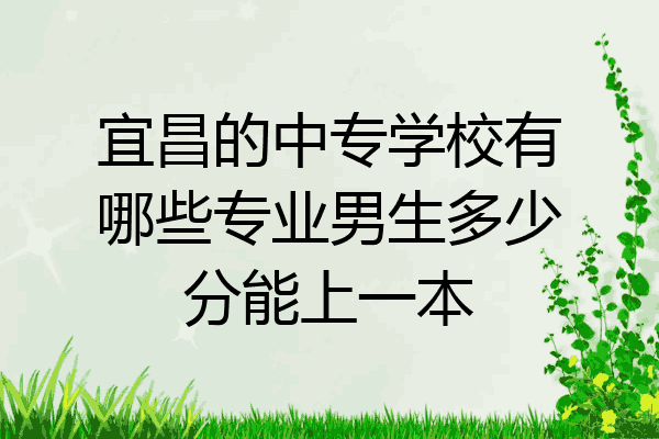 宜昌的中专学校有哪些专业男生多少分能上一本
