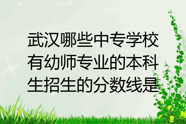 武汉哪些中专学校有幼师专业的本科生招生的分数线是