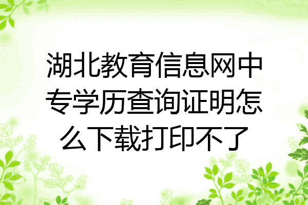 湖北教育信息网中专学历查询证明怎么下载打印不了